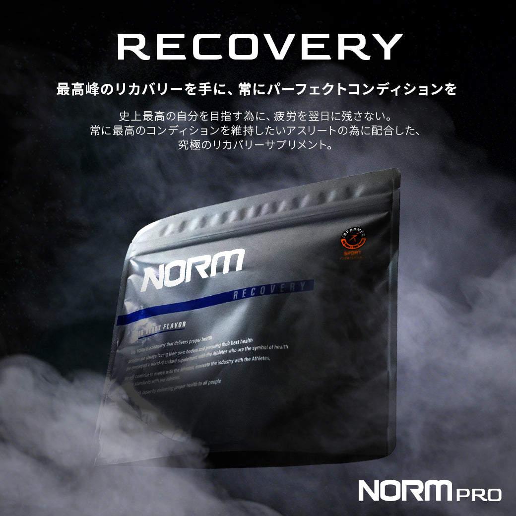 【NORMPro】Recovery